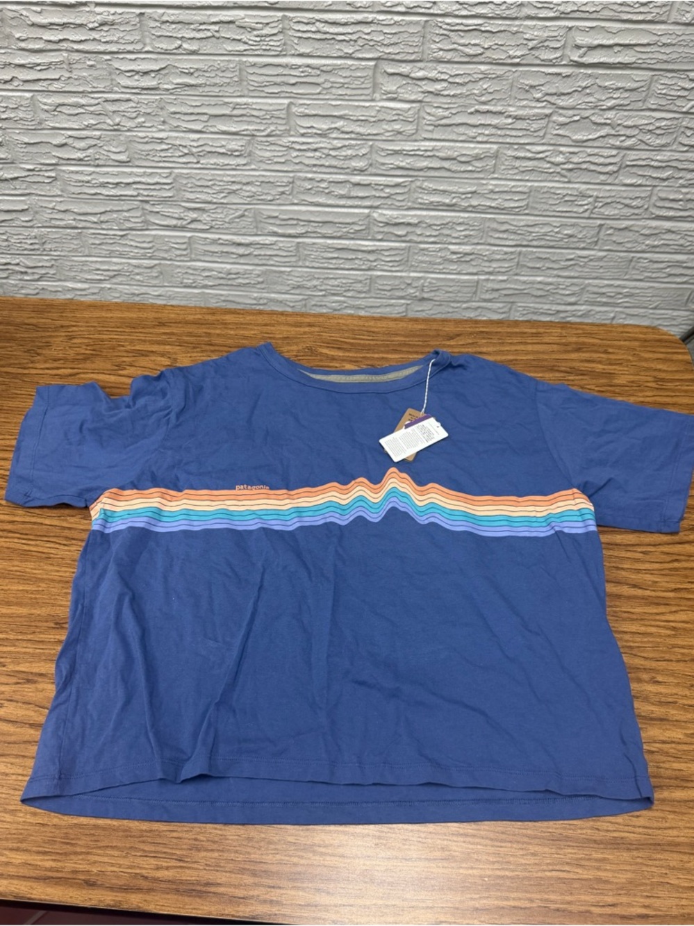 Patagonia Blue Short Sleeve Women’s Large Tee with Rainbow Wave Stripe
